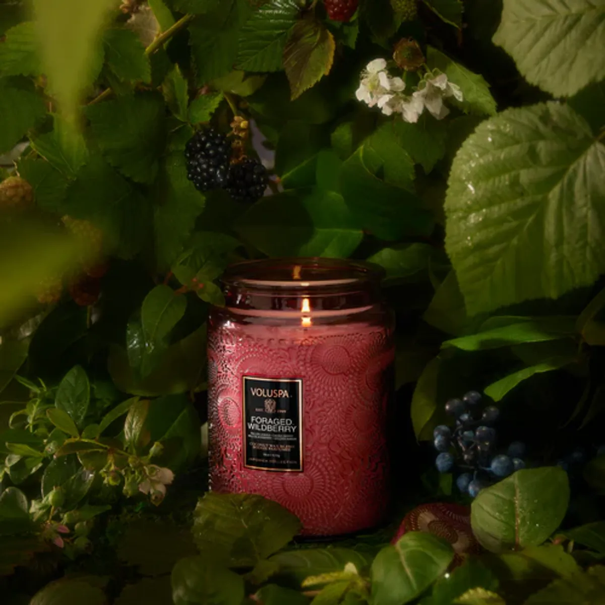Voluspa Duftlys Foraged Wildberry Large Jar Candle 100T