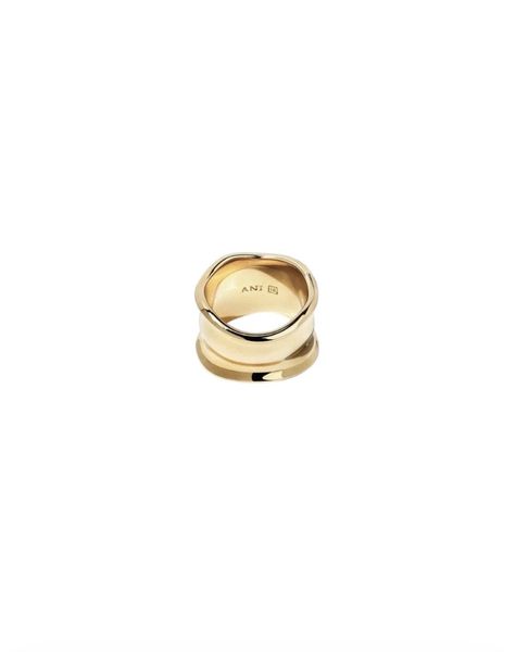 Hovedbilde ANI Jewles Orca Ring Gold