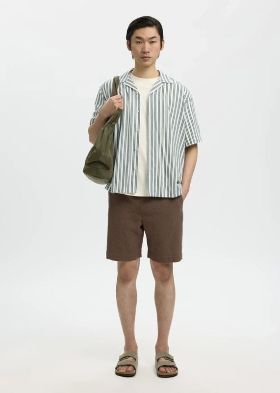 Selected Men Shirt Mix Balsam Green White Stripes